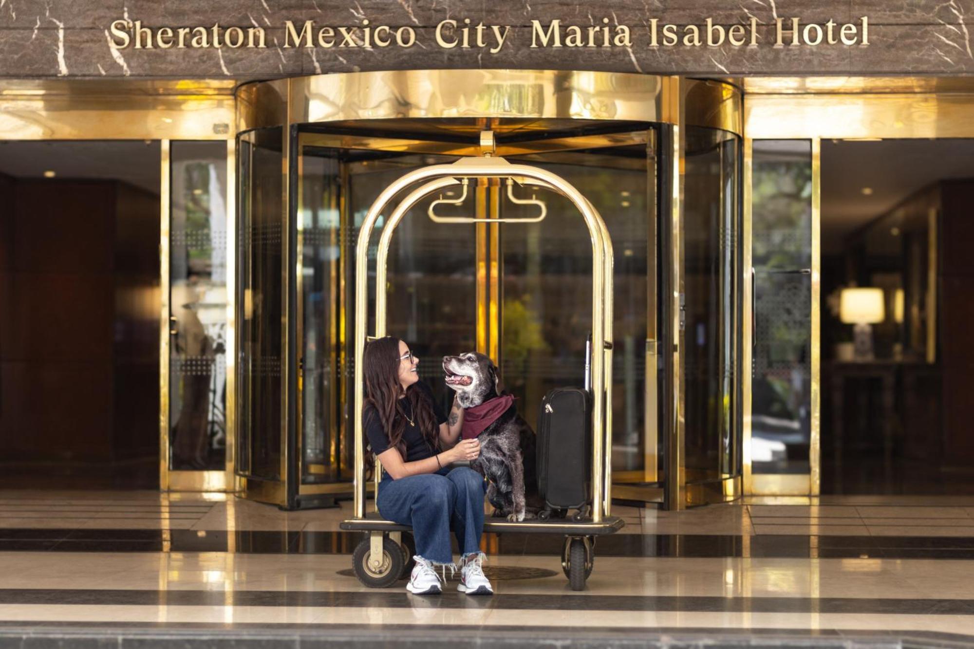 Sheraton Mexico City Maria Isabel Экстерьер фото